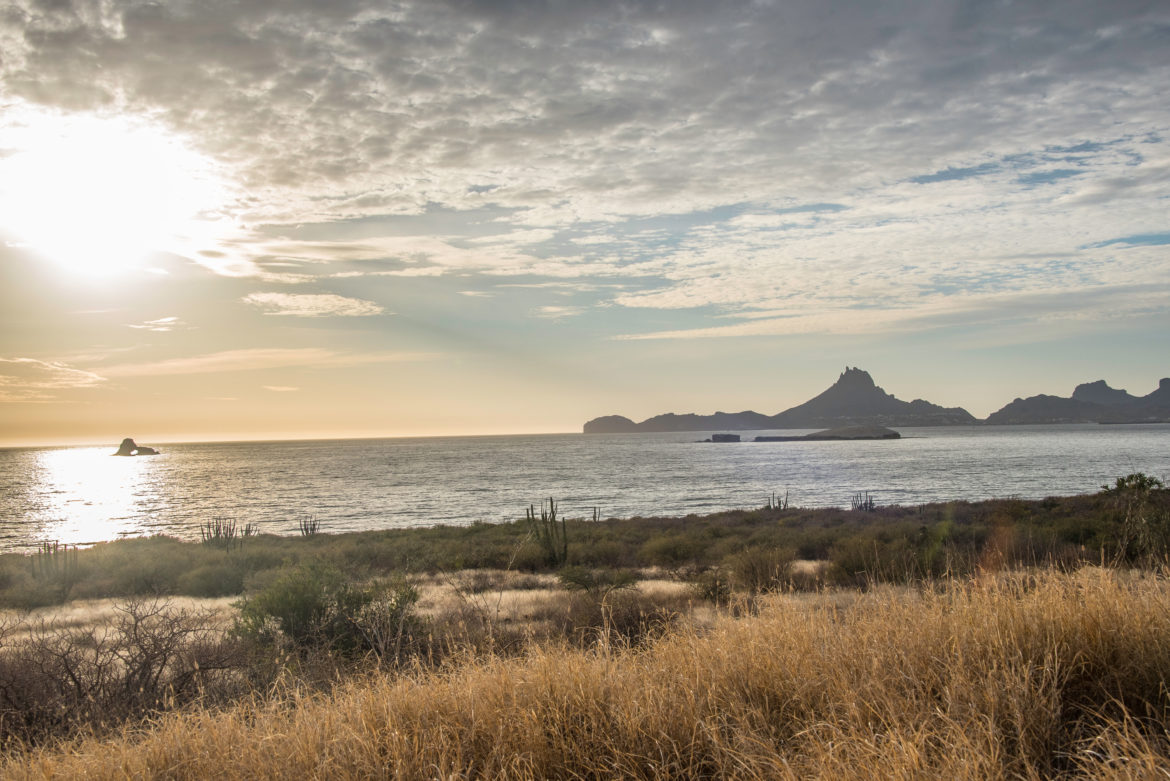 Tarde en Guaymas