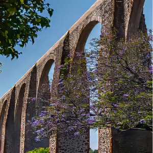 Gobernanza del agua y sostenibilidad de los servicios públicos en México